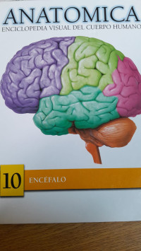 Image of Anatómica Enciclopedia Visual del Cuerpo Humano 10 Encéfalo