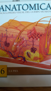 Image of Anatómica Enciclopedia Visual del Cuerpo Humano 6 La Piel
